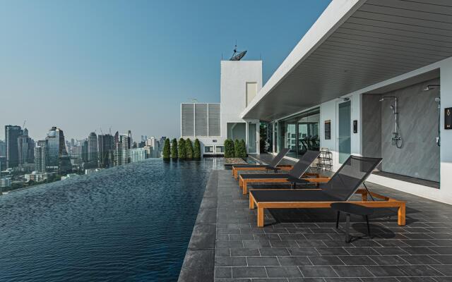 Siamese Exclusive 42