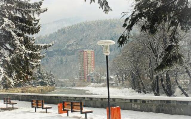 Guest House Borjomi