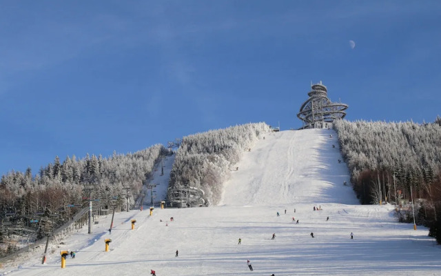 Villa in Dolni Morava Near Ski Slopes