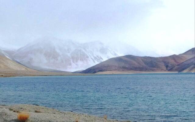 Royal Camp - Pangong