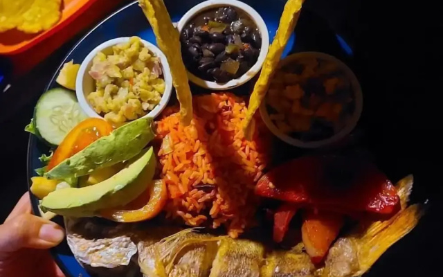 Rio Agujitas Eco Farm Hostel and Tours