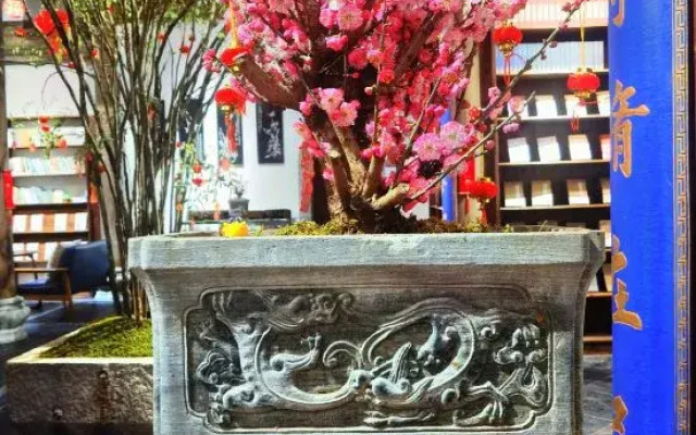 One read and one clean homestay