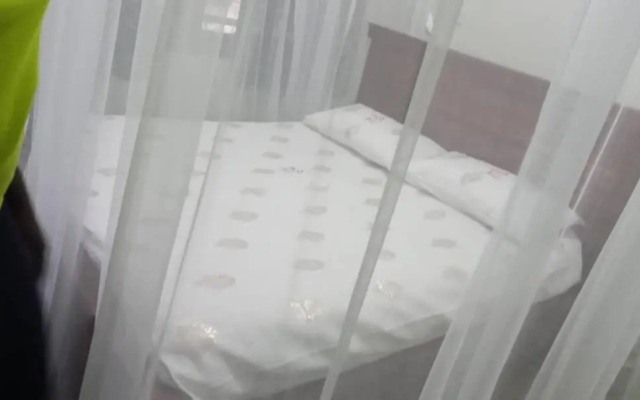 St. Patrick’s Forest House