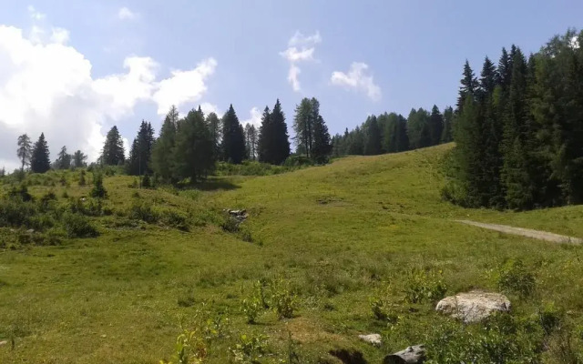 Alpenhuser Marcius