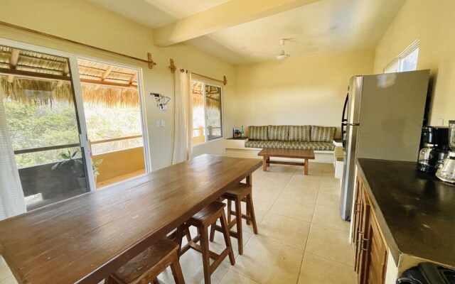 bonobo living apartments