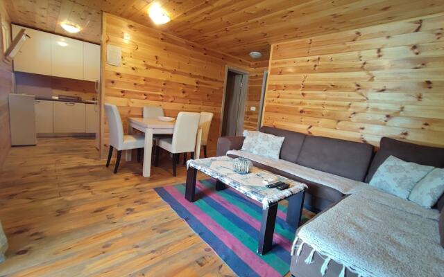 Coso House Ada Bojana
