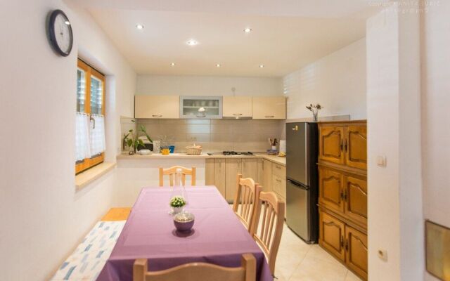 House Pansy