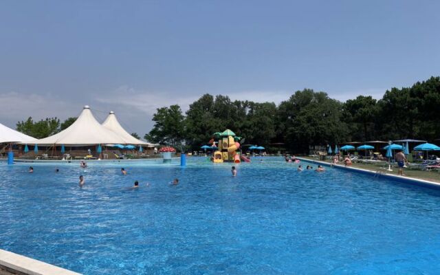 Mare Pineta 42191
