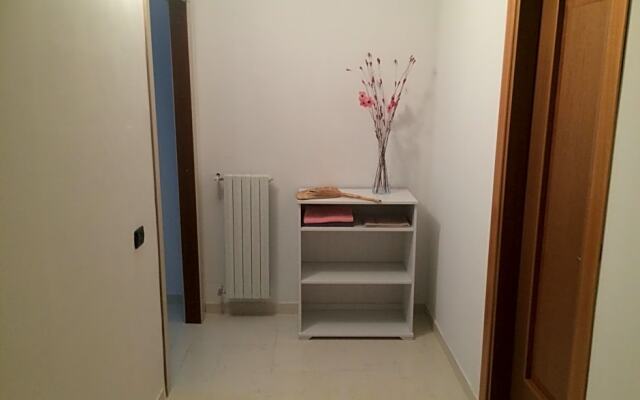 B&B Camelie