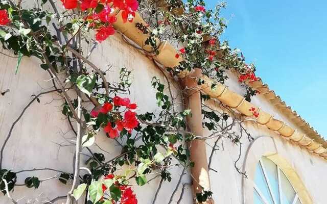 IUTA Glamping & Farm