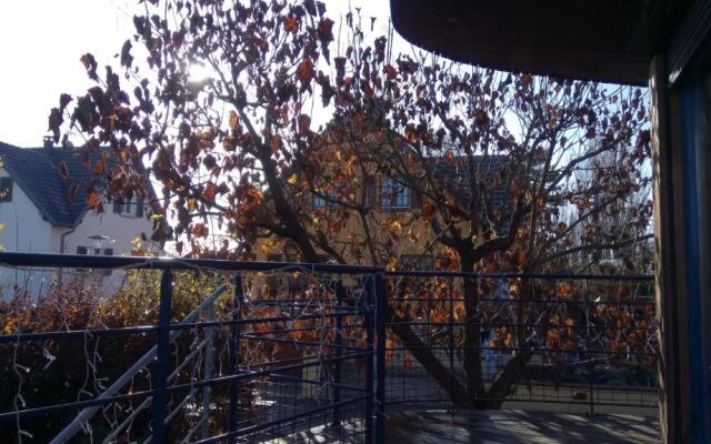 A l Ombre des Catalpas