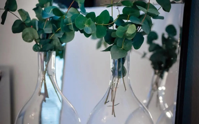 Vivante Basement Accommodation