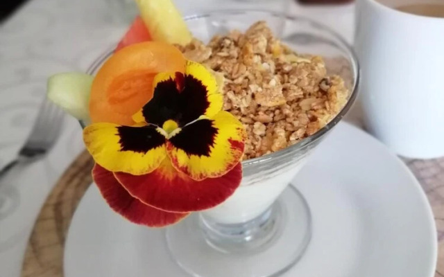 Diamond Rose Guest House