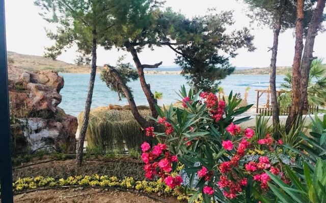 Ivy Sailing Resort