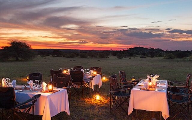 Tuli Safari Lodge
