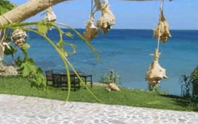 Aloe Studios