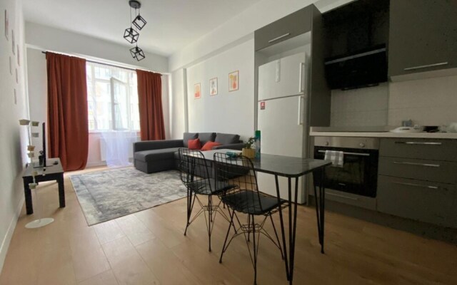 Comfy Flat With Central Location in Fikirtepe