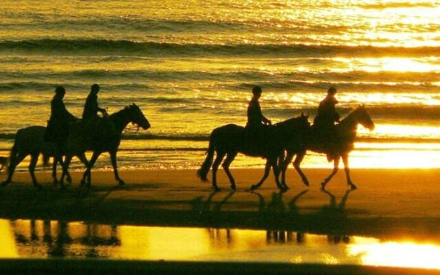 Ferienhaus Ueckermuende VORP 2471