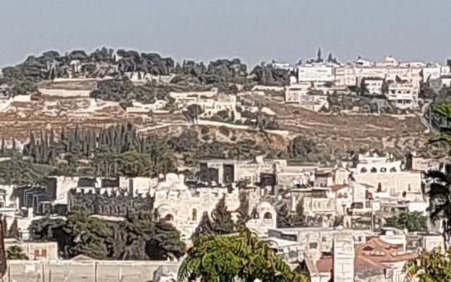 Jerusalem Center Boutique Apartment