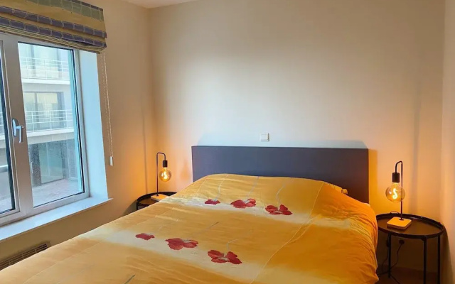 Apartment in Nieuwpoort With Ocean Views