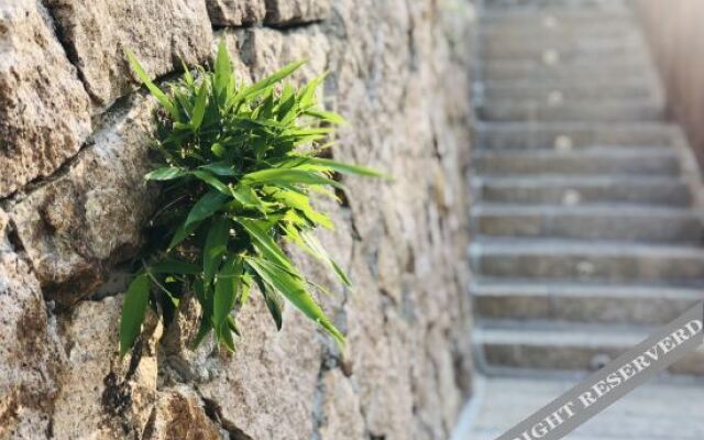 Yingwuxin Boutique Hostel Mount Mogan