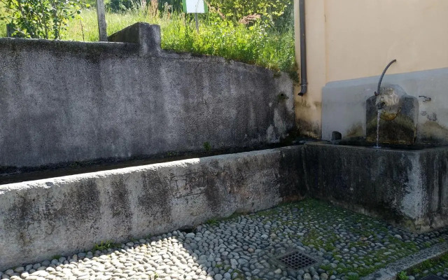 Nido di Rongio