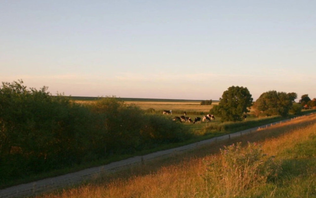 Villa Jonny am Deich