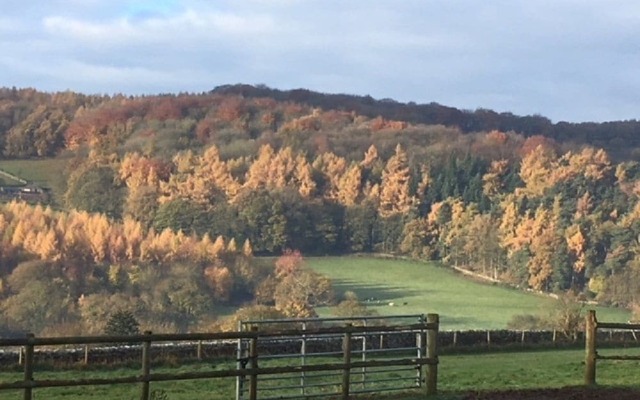 Grange Farm Bed & Breakfast