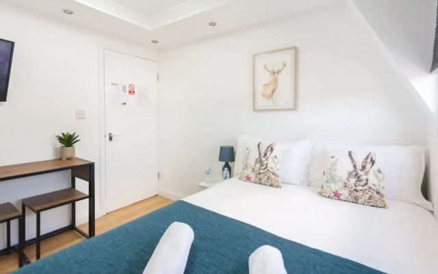 Euston Modern Apartments