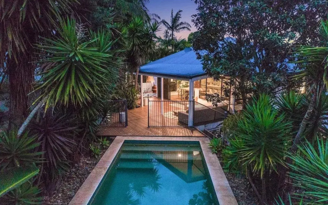 Bangalow Palms