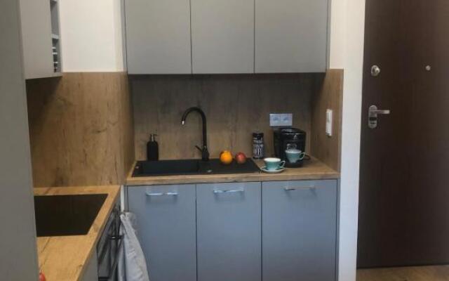 Central Point Apartament