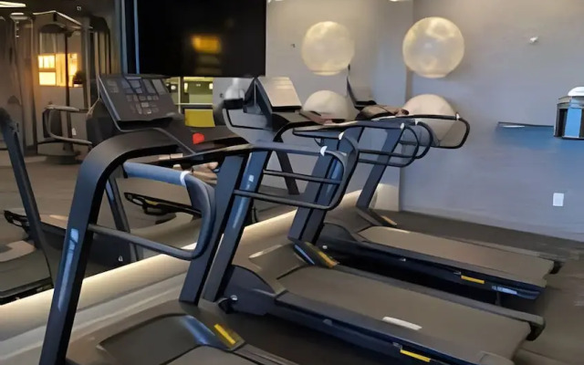 Studio Design 3 - Lions