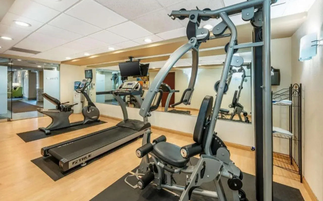 Comfort Inn & Suites East Hartford - Hartford