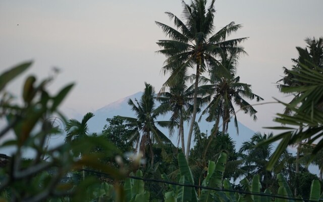 Angel House Ubud Eco Villa