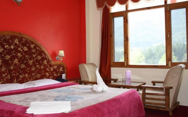 Hotel Ocean Blue Manali