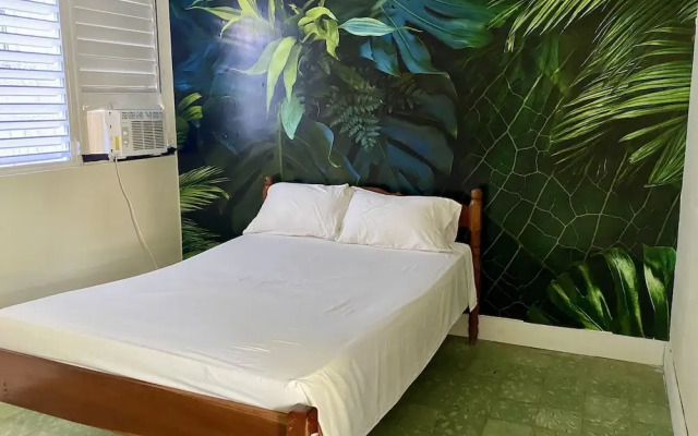 Rum Punch Lodge