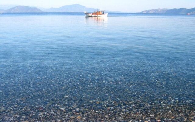 Island