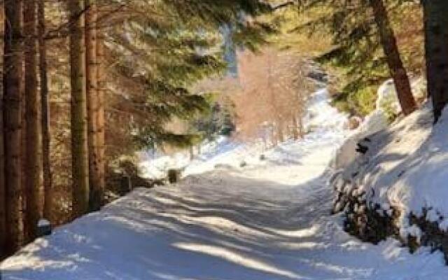 Residenza Sofia - Ponte di Legno fraz. Pezzo