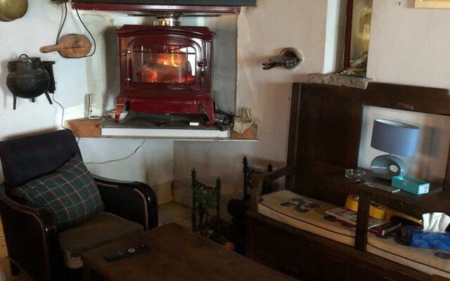 La Coquille Napoléon