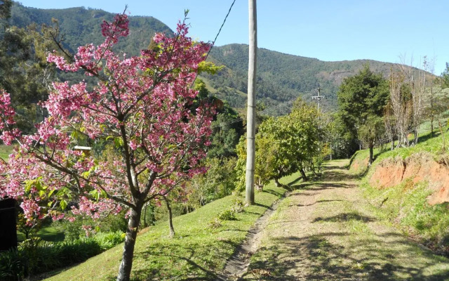 Sítio Paradiso