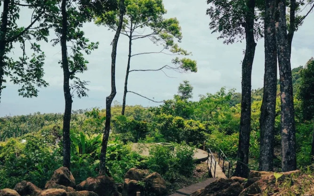 Matahom Forest Glamping Tent 2