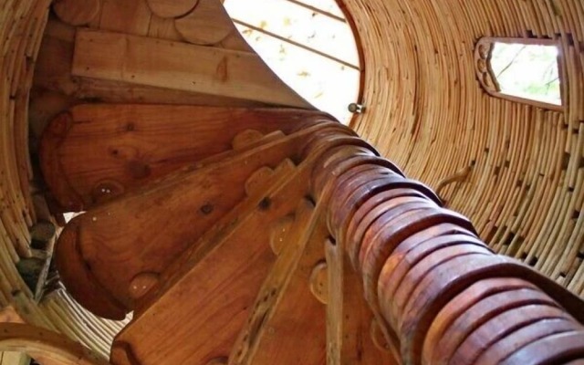 Sycamore Avenue Treehouses