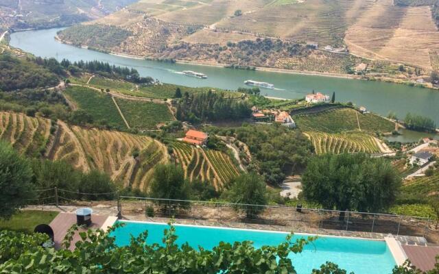 Feel Discovery Alvim's Douro