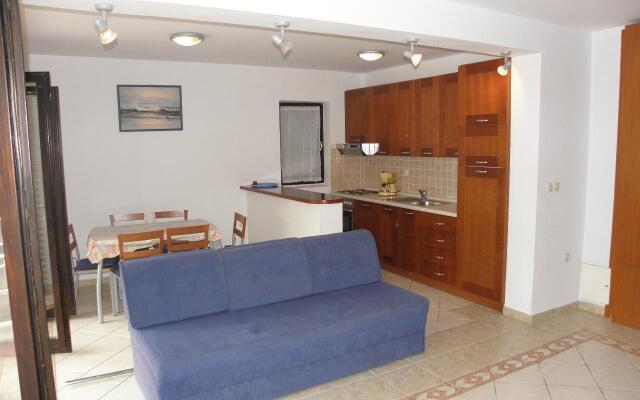Apartment Mirja - 50 m from beach: A1 Petrcane, Zadar riviera