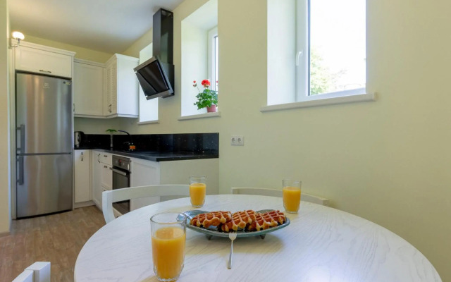 Basanavičiaus street apartaments with view No 1