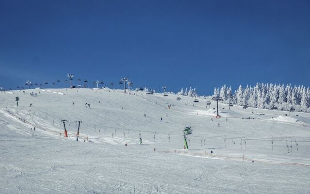 Kuckucksnester Feldberg