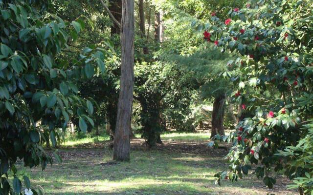 Sunway Farm Bed & Breakfast Healesville