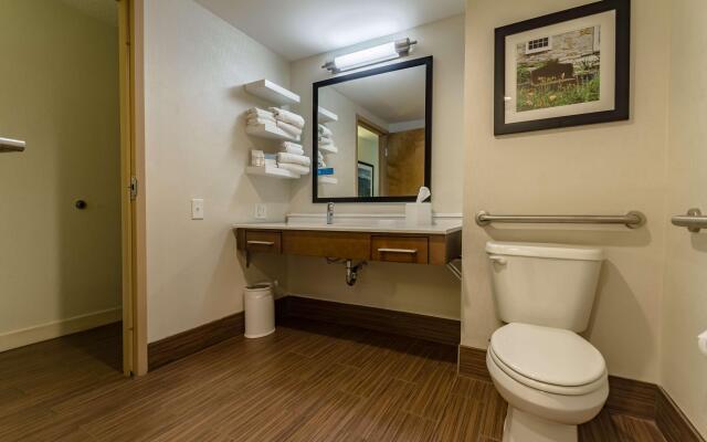 Hampton Inn Winchester-University/Mall Area
