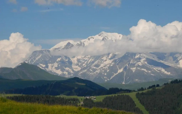 Hôtel Chalet Le Caribou