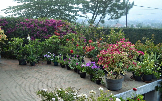 Vila Bunga Merah Gelatik